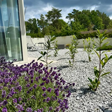 Baltycki - 2-poziomowe Nigo I Apartmán